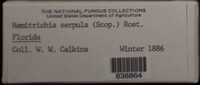 Image Associated With the Occurence